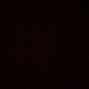 Meet your Posher, Bree